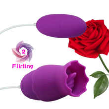 Load image into Gallery viewer, Vagina Massage Stimulator Sex Toy